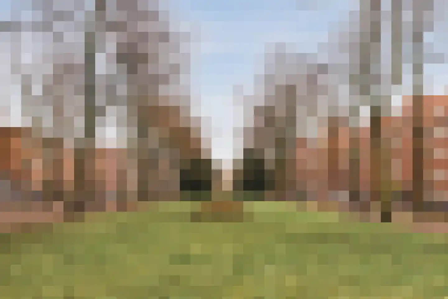 Rooseveltlaan 130 3 Amsterdam thumbnail 37