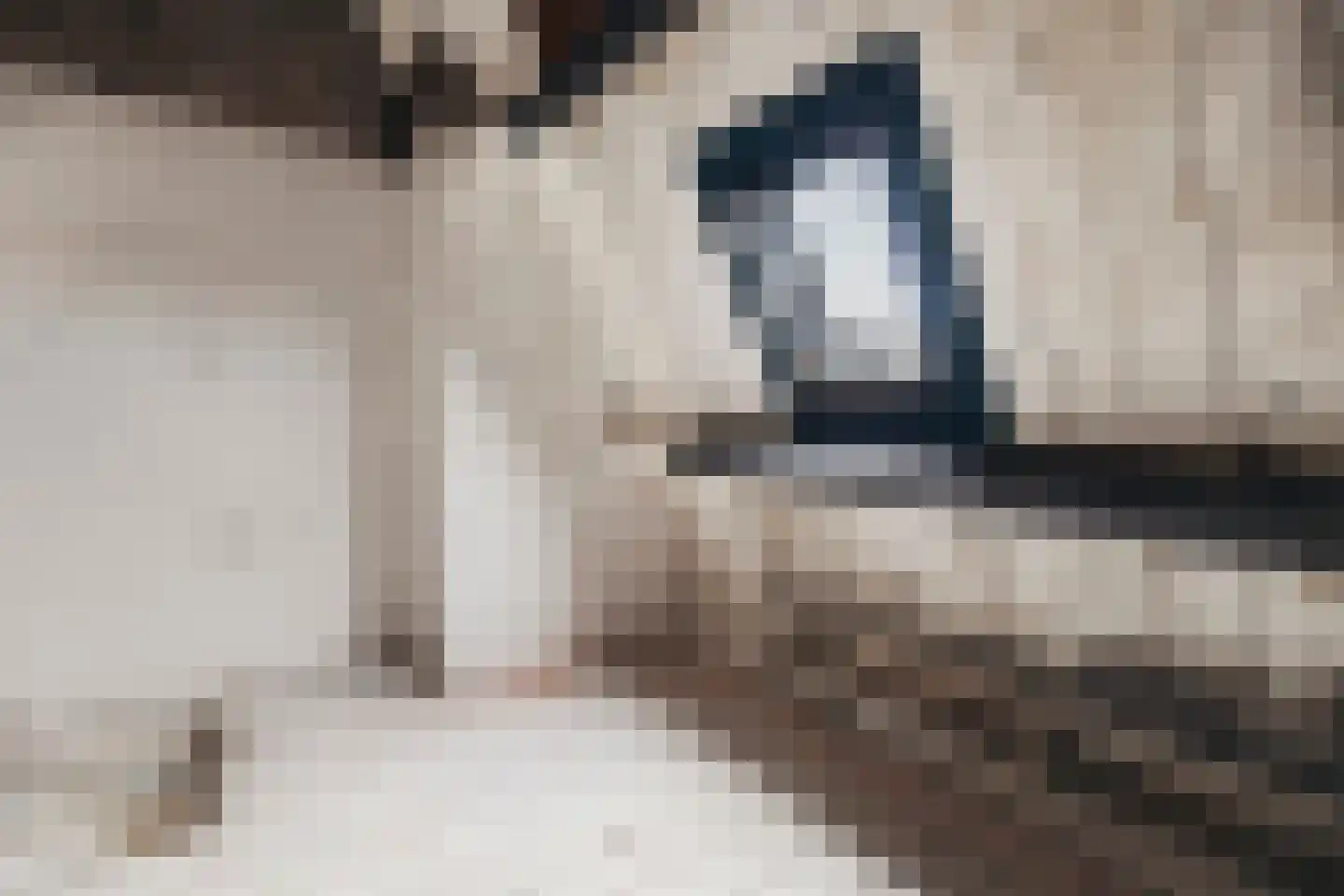 Rooseveltlaan 130 3 Amsterdam thumbnail 43