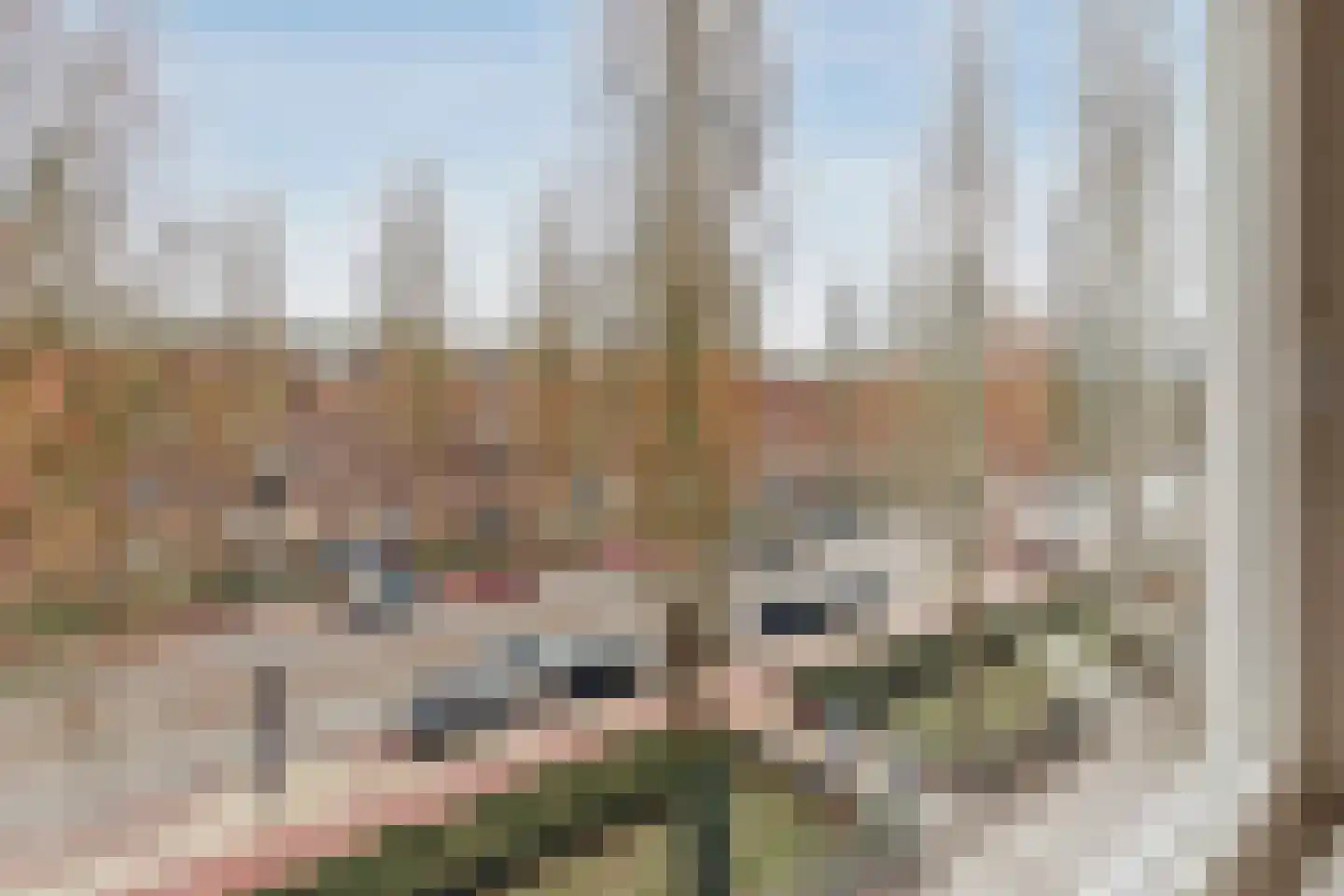 Rooseveltlaan 130 3 Amsterdam thumbnail 5
