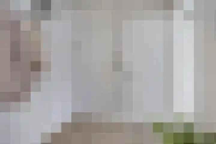 Rooseveltlaan 135 Bergen op Zoom thumbnail 10