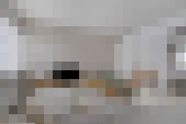 Rooseveltlaan 135 Bergen op Zoom thumbnail 13