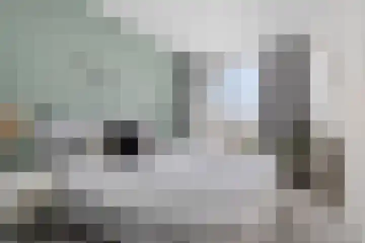 Rooseveltlaan 135 Bergen op Zoom thumbnail 4