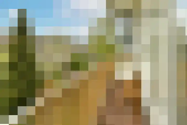 Rooseveltlaan 137 3 Amsterdam thumbnail 10