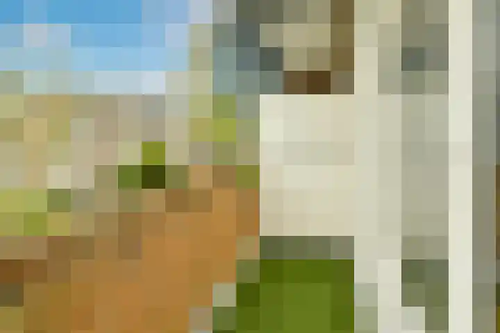 Rooseveltlaan 137 3 Amsterdam thumbnail 11