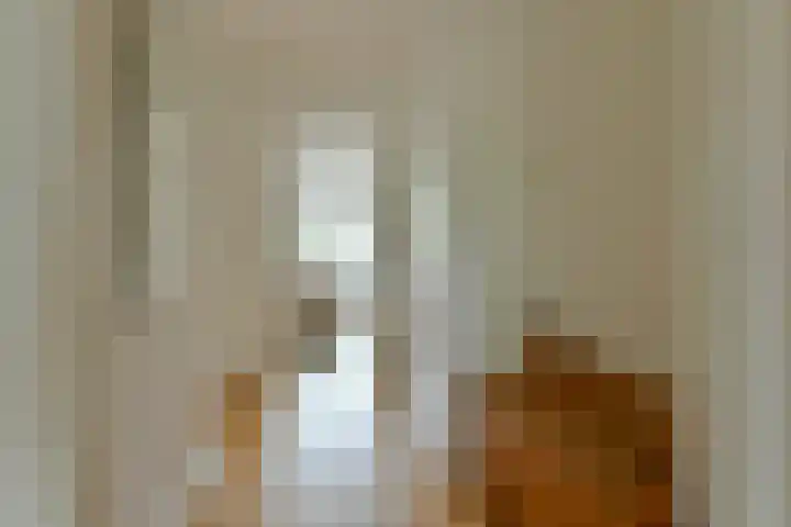 Rooseveltlaan 137 3 Amsterdam thumbnail 15