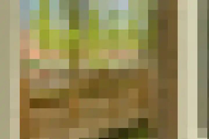 Rooseveltlaan 137 3 Amsterdam thumbnail 17