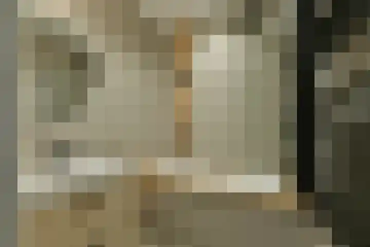 Rooseveltlaan 137 3 Amsterdam thumbnail 19