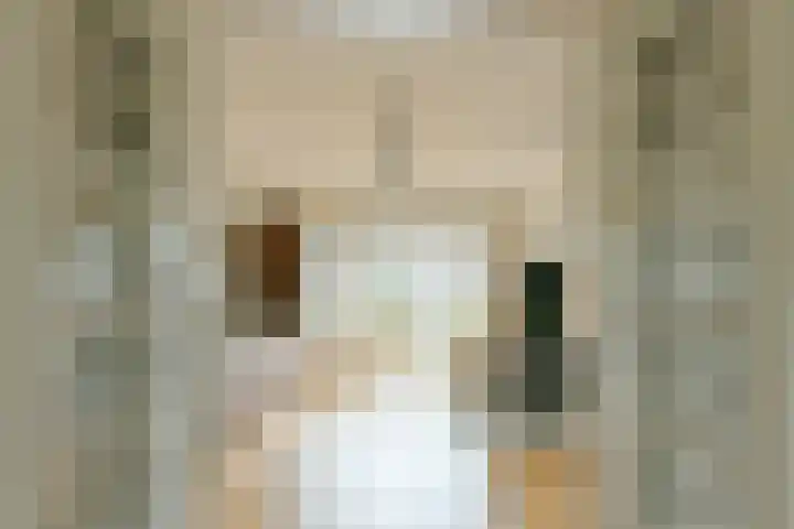 Rooseveltlaan 137 3 Amsterdam thumbnail 4