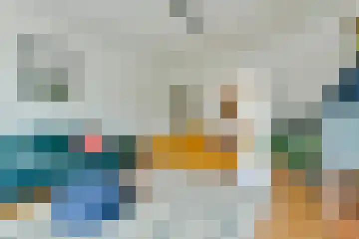 Rooseveltlaan 137 3 Amsterdam thumbnail 6