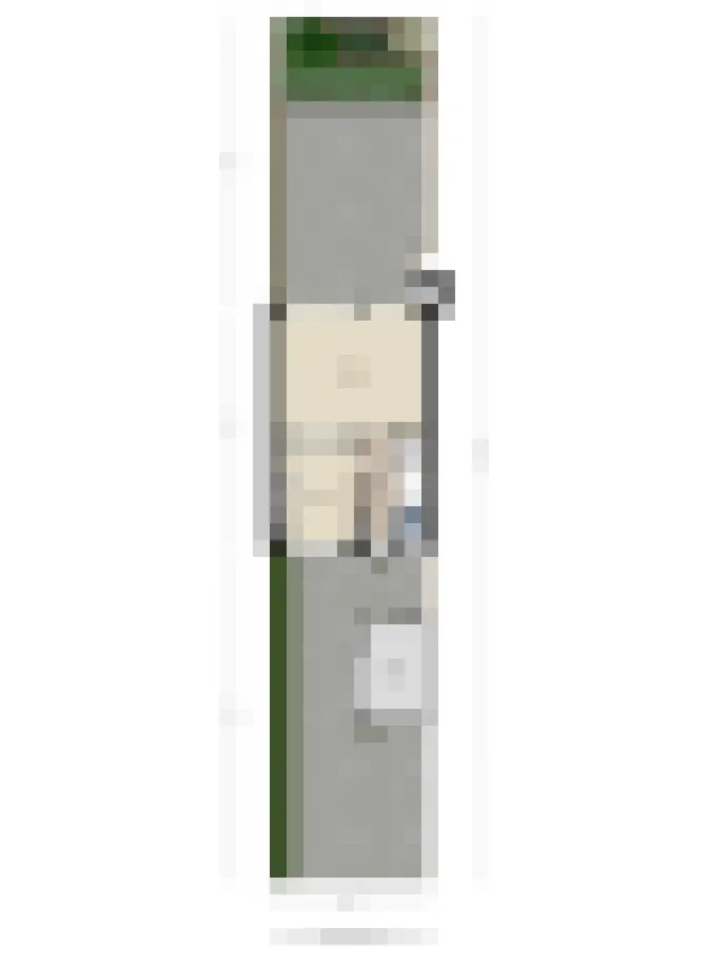 Rooseveltlaan 14 Delft thumbnail 35