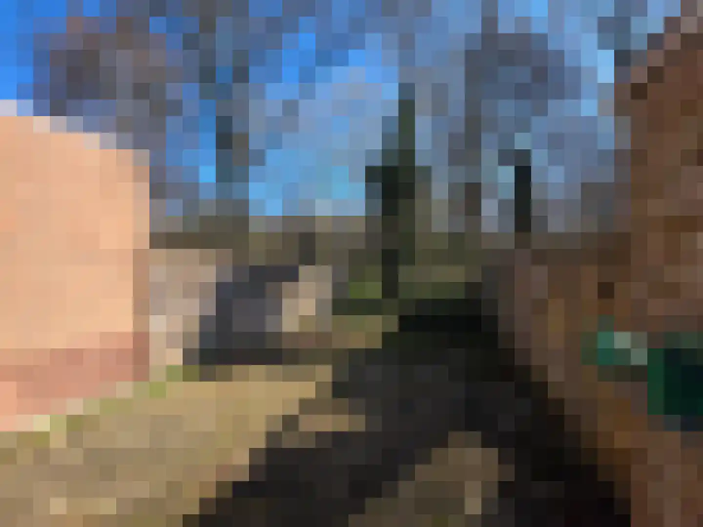 Rooseveltlaan 14 Delft thumbnail 7