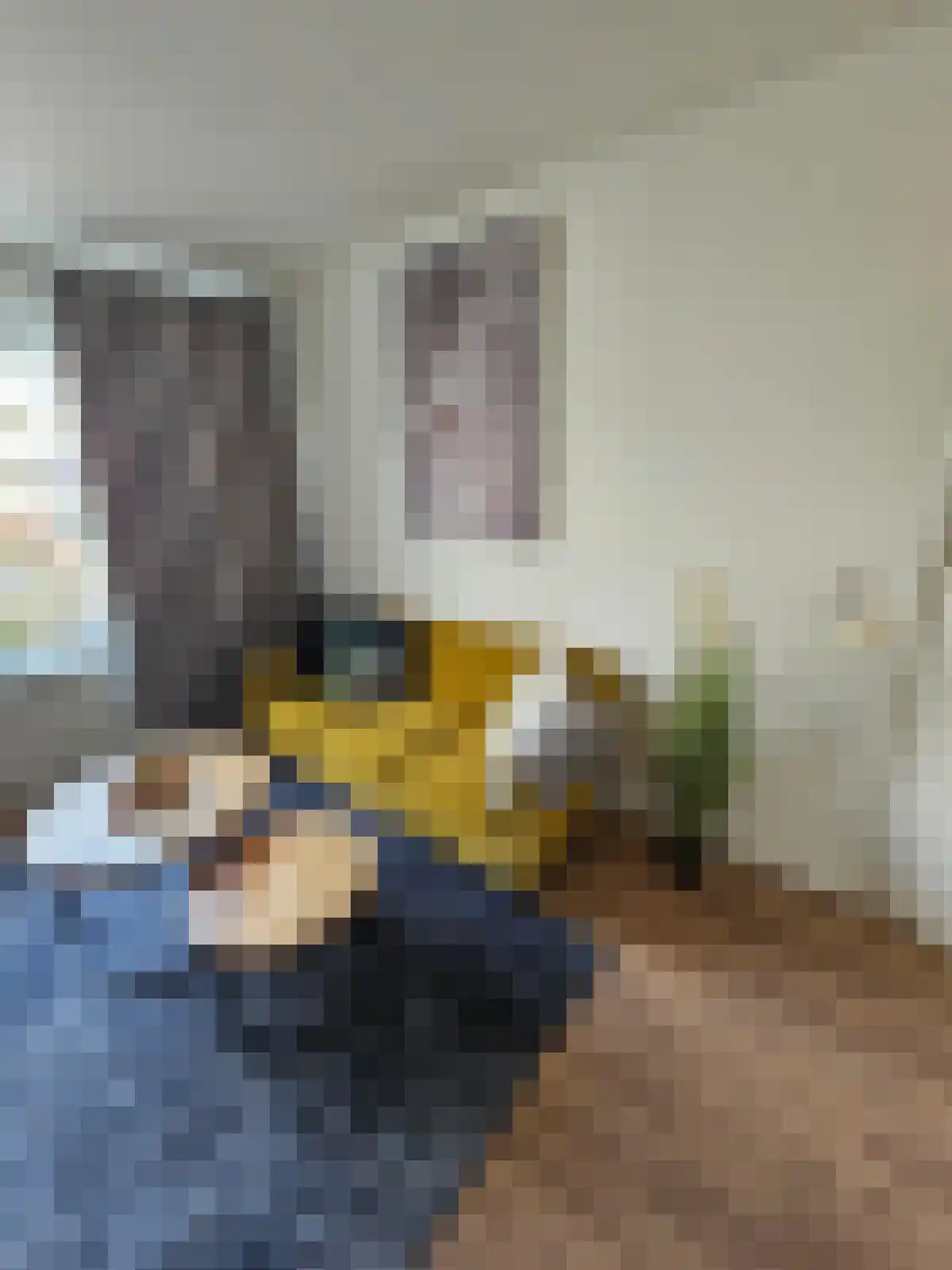 Rooseveltlaan 14 Utrecht thumbnail 5