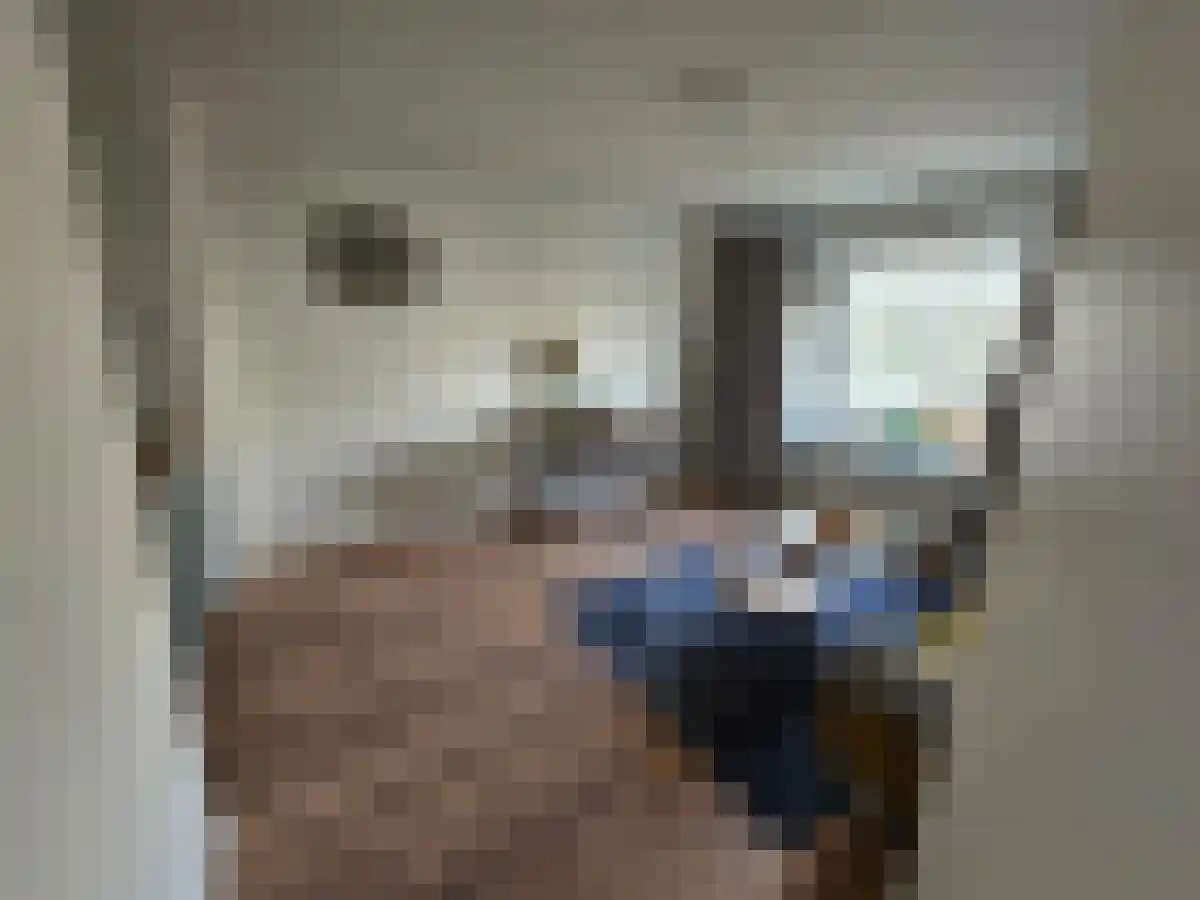 Rooseveltlaan 14 Utrecht thumbnail 6