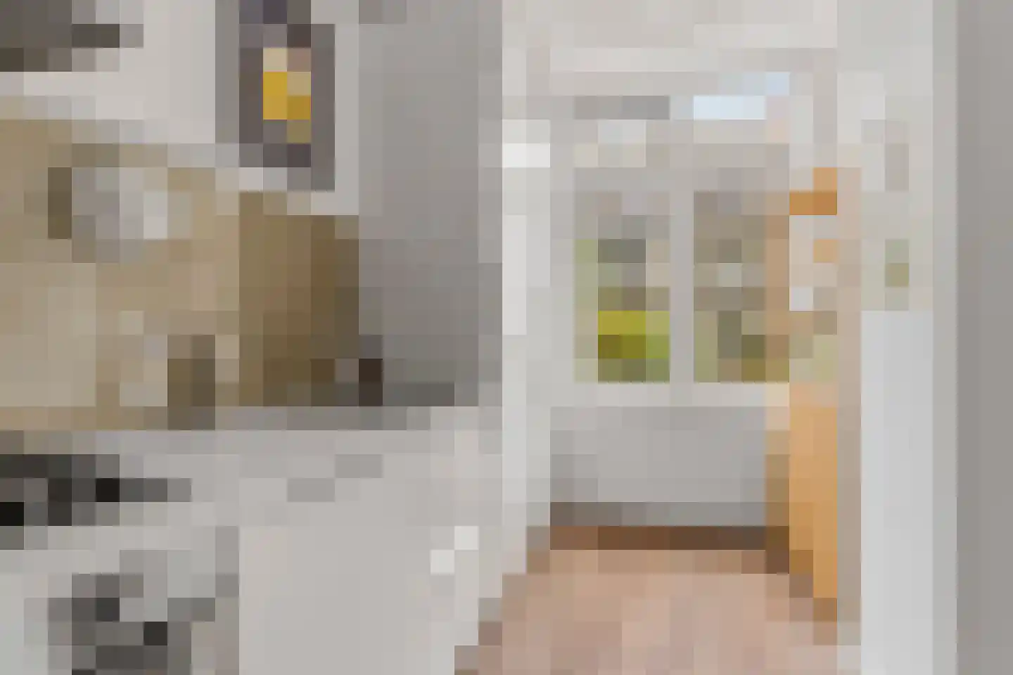 Rooseveltlaan 144 1 Amsterdam thumbnail 16