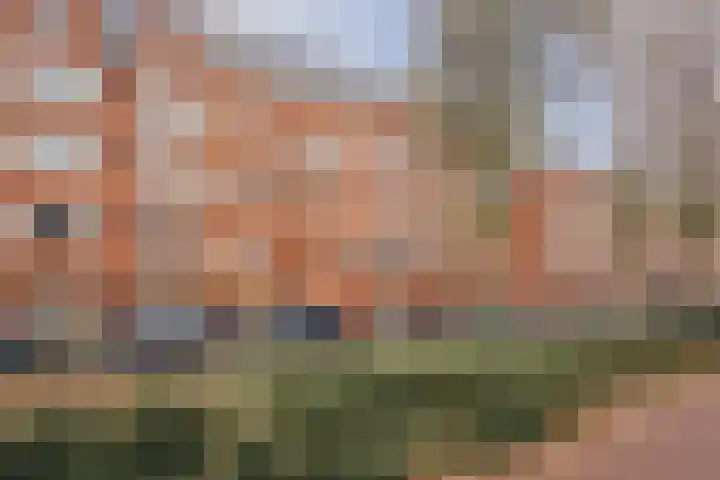 Rooseveltlaan 144 3 in Amsterdam