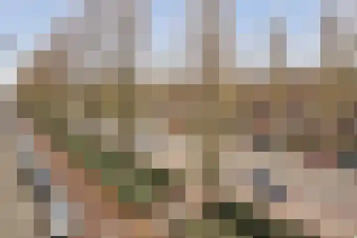 Rooseveltlaan 144 3 Amsterdam thumbnail 13