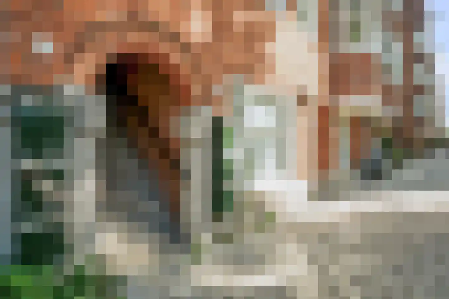 Rooseveltlaan 146 2 Amsterdam thumbnail 38