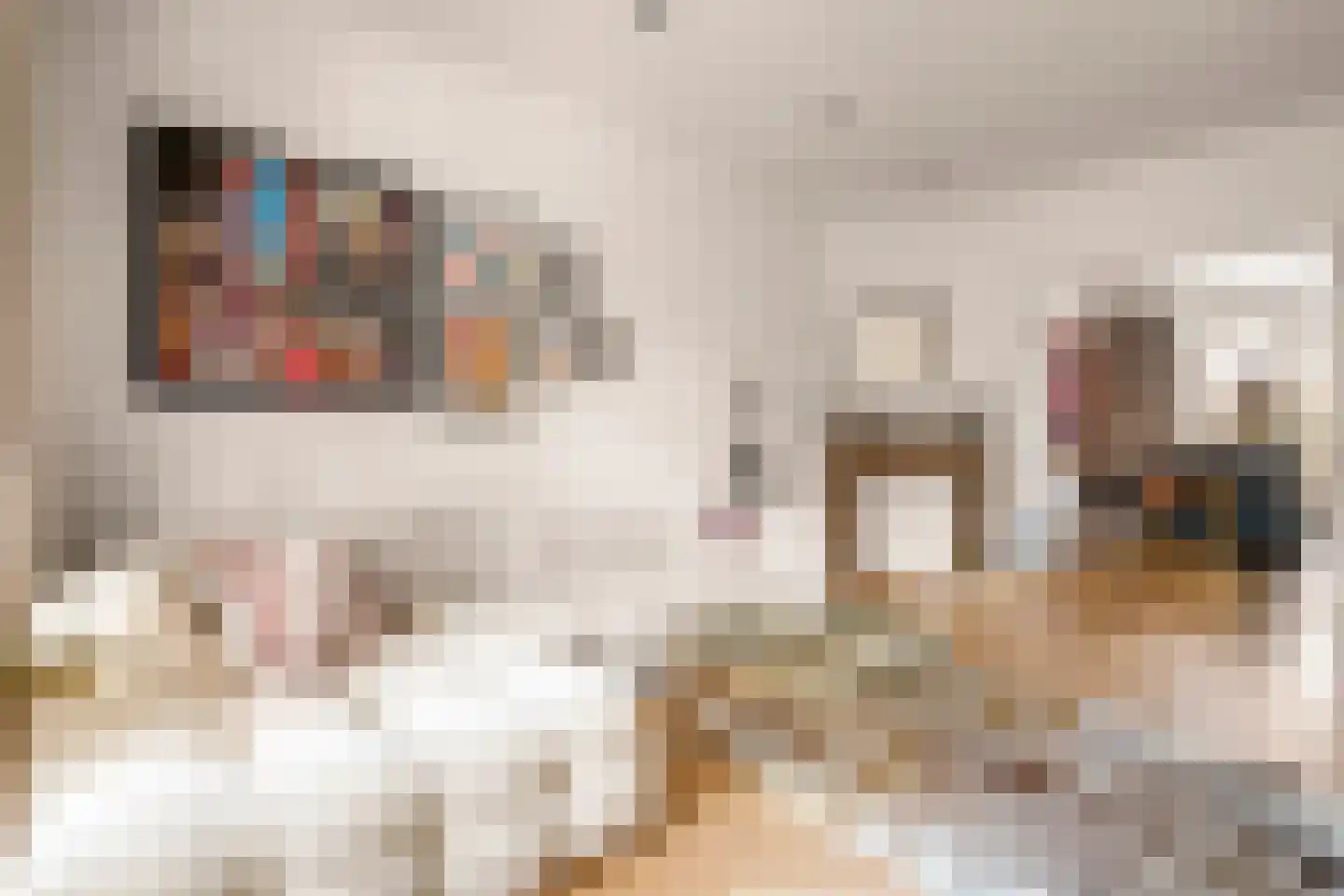 Rooseveltlaan 146 2 Amsterdam thumbnail 4