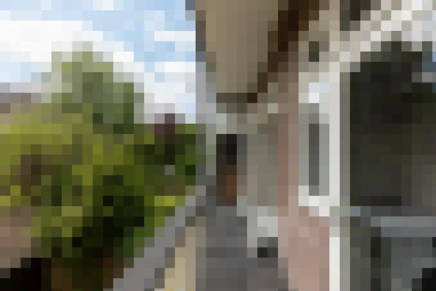 Rooseveltlaan 151 3 Amsterdam thumbnail 17