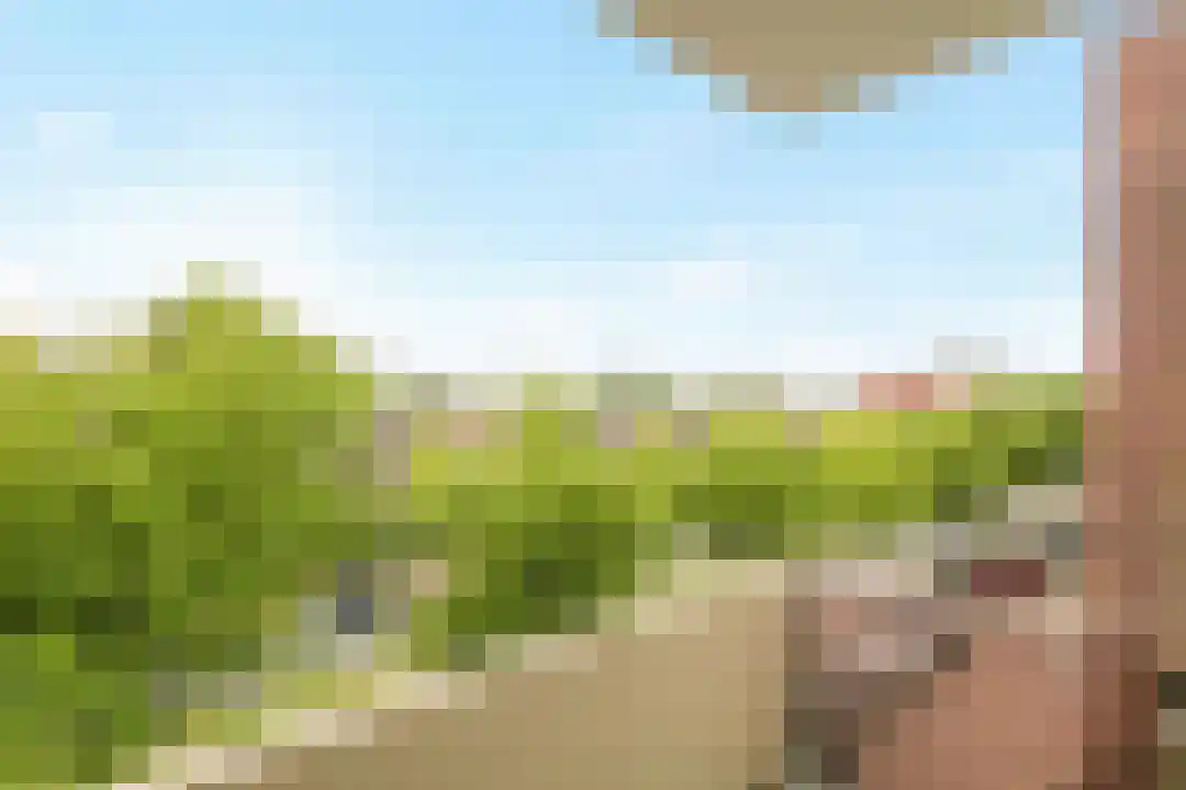 Rooseveltlaan 151 Bergen op Zoom thumbnail 6