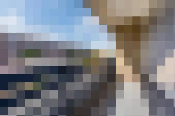 Rooseveltlaan 162 Bergen op Zoom thumbnail 32