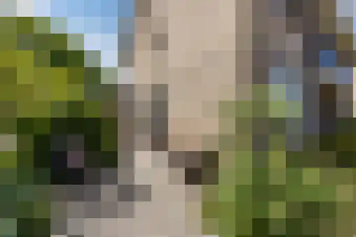 Rooseveltlaan 162 Bergen op Zoom thumbnail 7