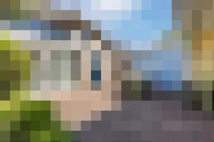 Rooseveltlaan 162 Bergen op Zoom thumbnail 8