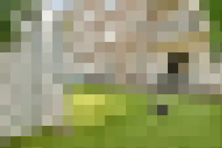 Rooseveltlaan 172 Amsterdam thumbnail 18