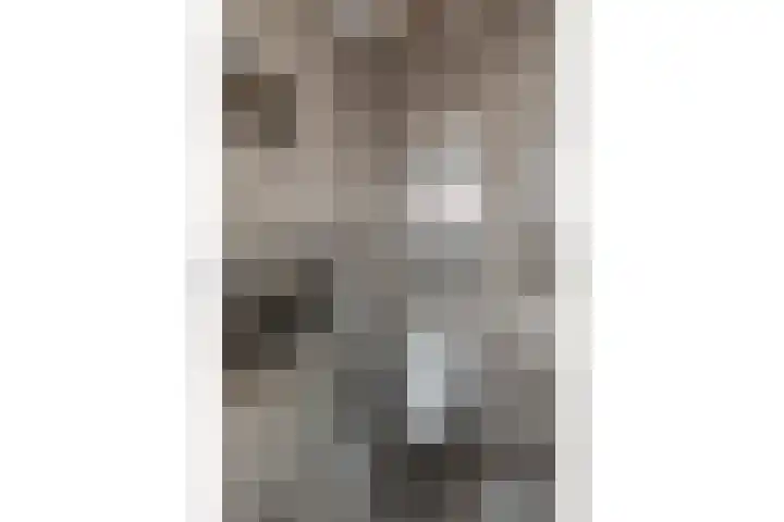 Rooseveltlaan 172 Amsterdam thumbnail 31