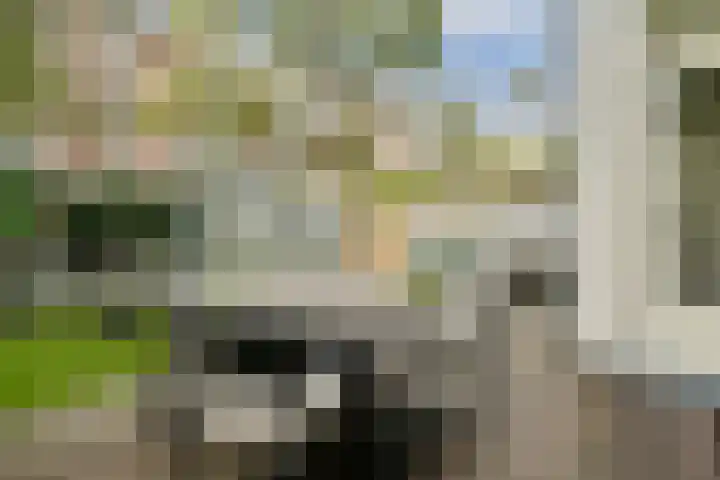Rooseveltlaan 172 Amsterdam thumbnail 32