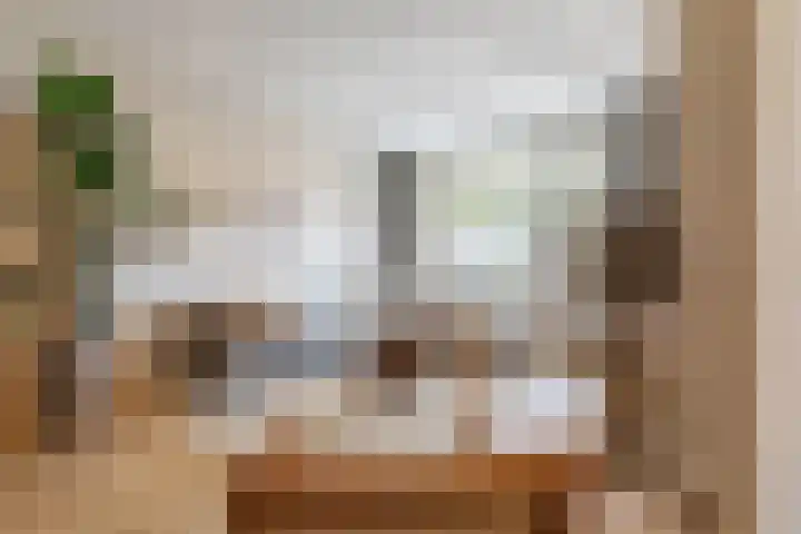 Rooseveltlaan 172 Amsterdam thumbnail 5