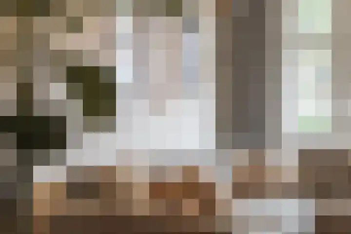 Rooseveltlaan 172 Amsterdam thumbnail 7