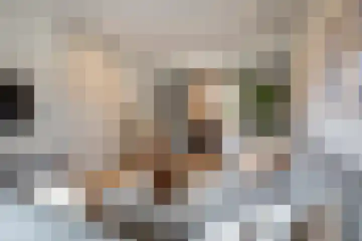 Rooseveltlaan 172 Amsterdam thumbnail 9