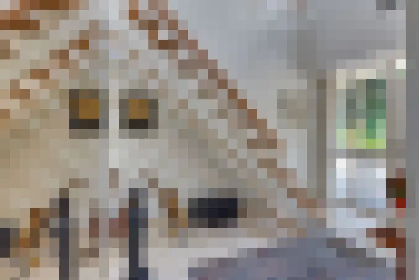 Rooseveltlaan 19 Harderwijk thumbnail 10