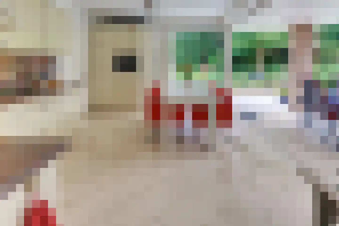 Rooseveltlaan 19 Harderwijk thumbnail 20