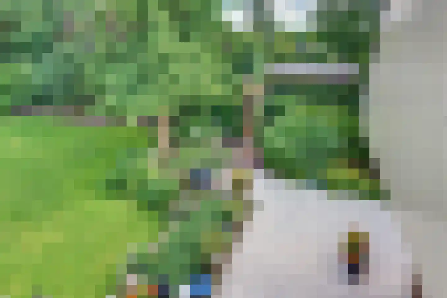 Rooseveltlaan 19 Harderwijk thumbnail 64