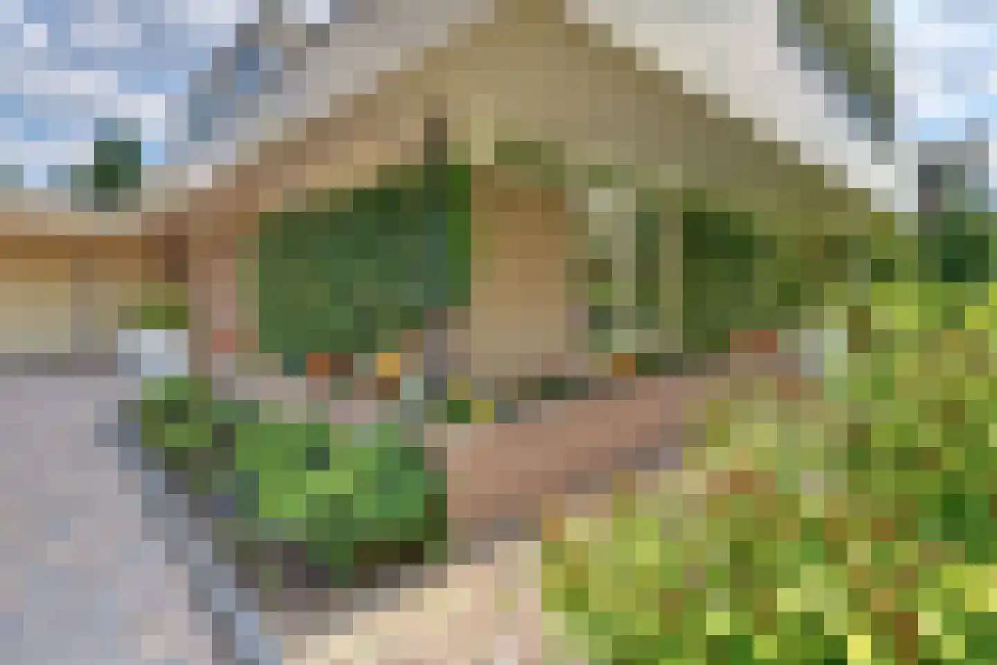 Rooseveltlaan 19 Harderwijk thumbnail 82