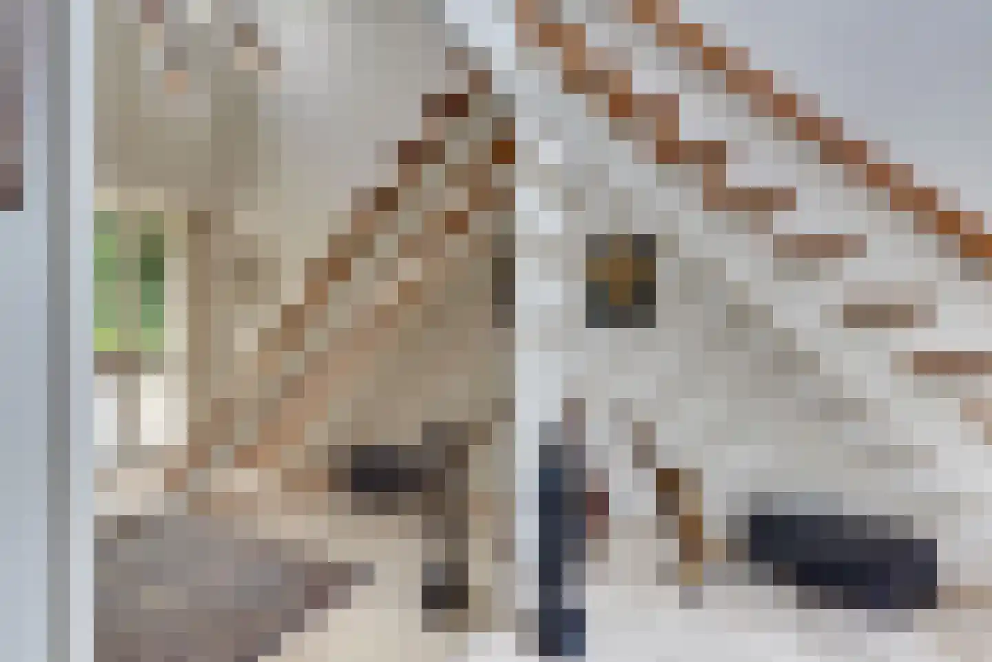 Rooseveltlaan 19 Harderwijk thumbnail 9
