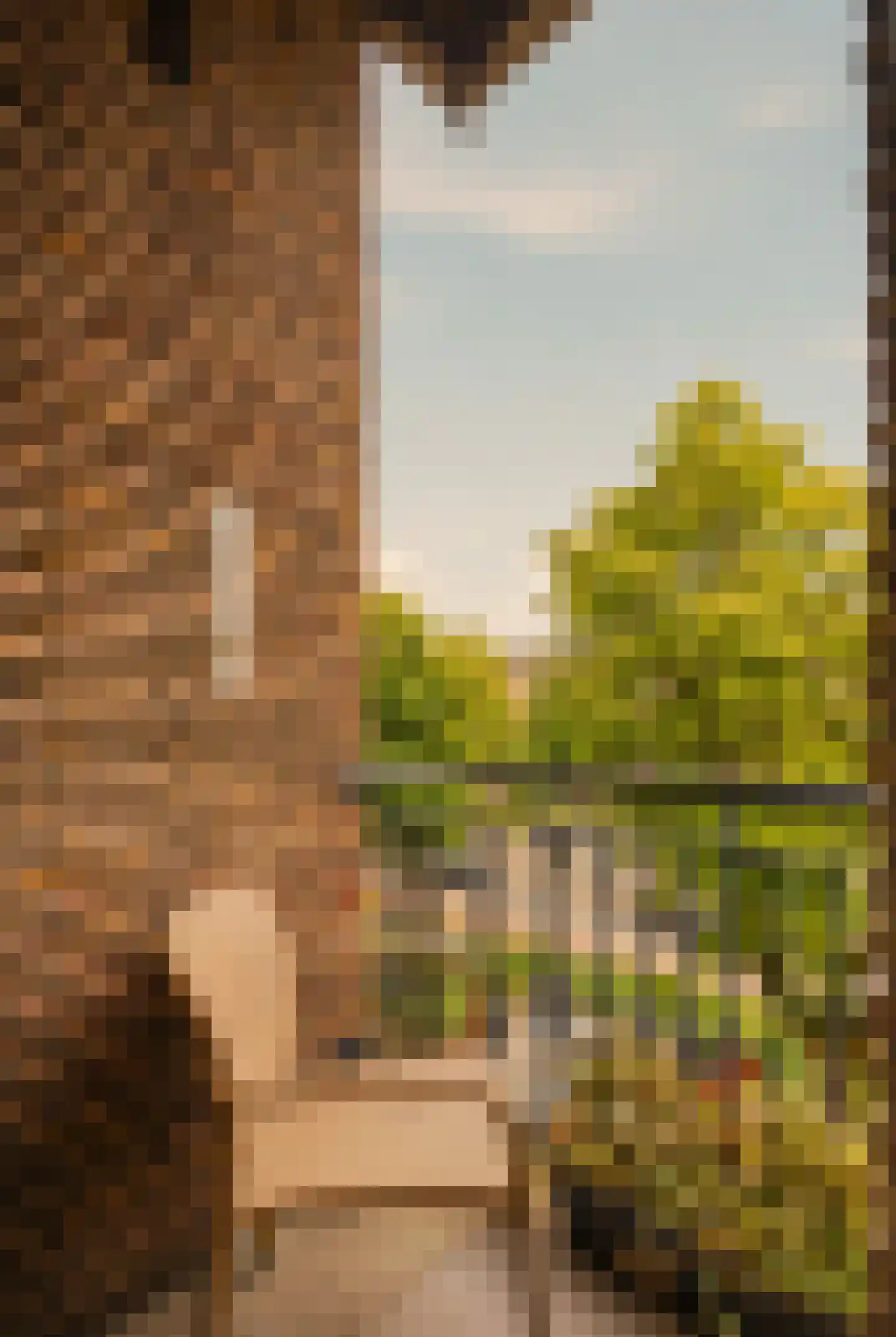 Rooseveltlaan 191 3 Amsterdam thumbnail 24