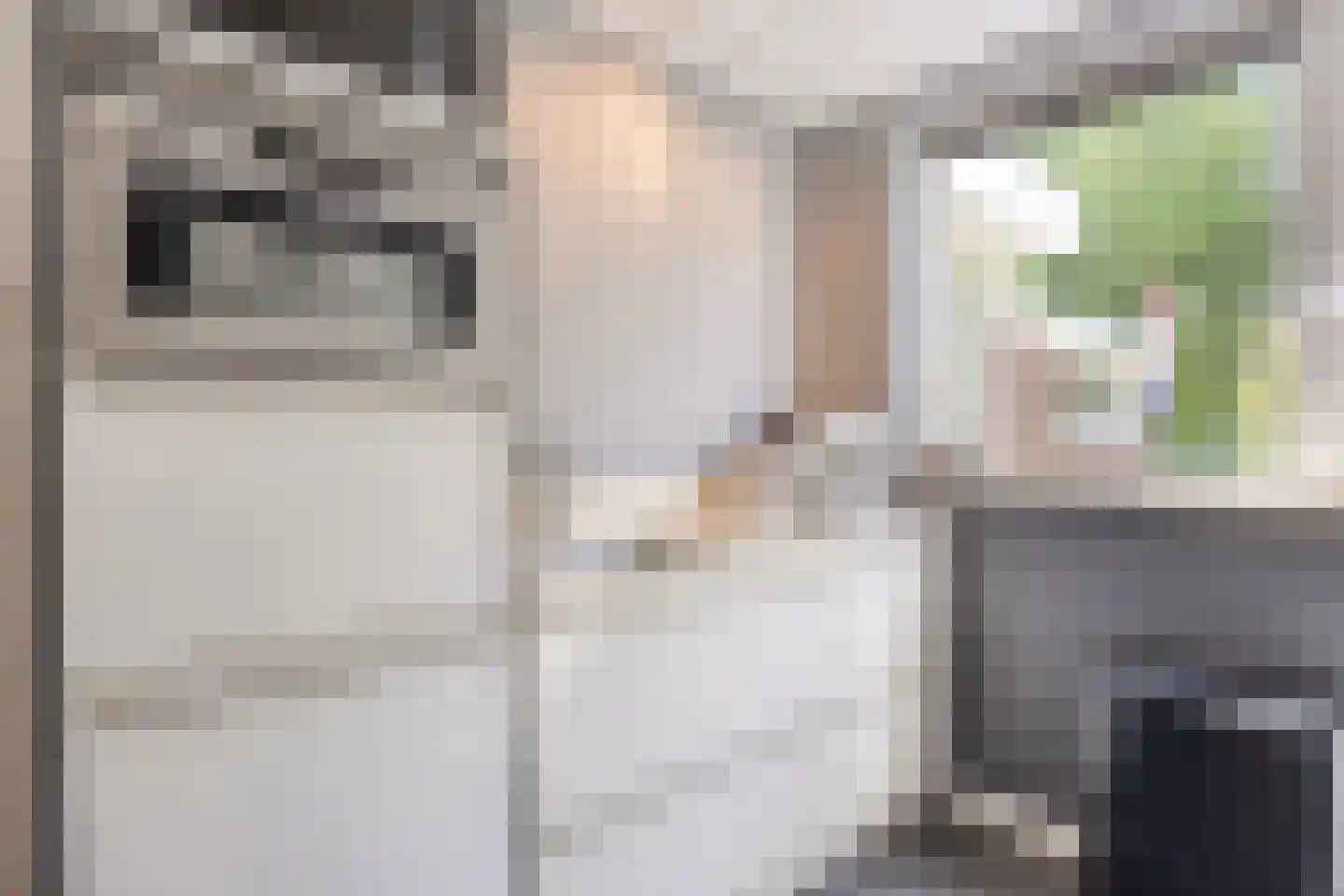 Rooseveltlaan 2 Delft thumbnail 14