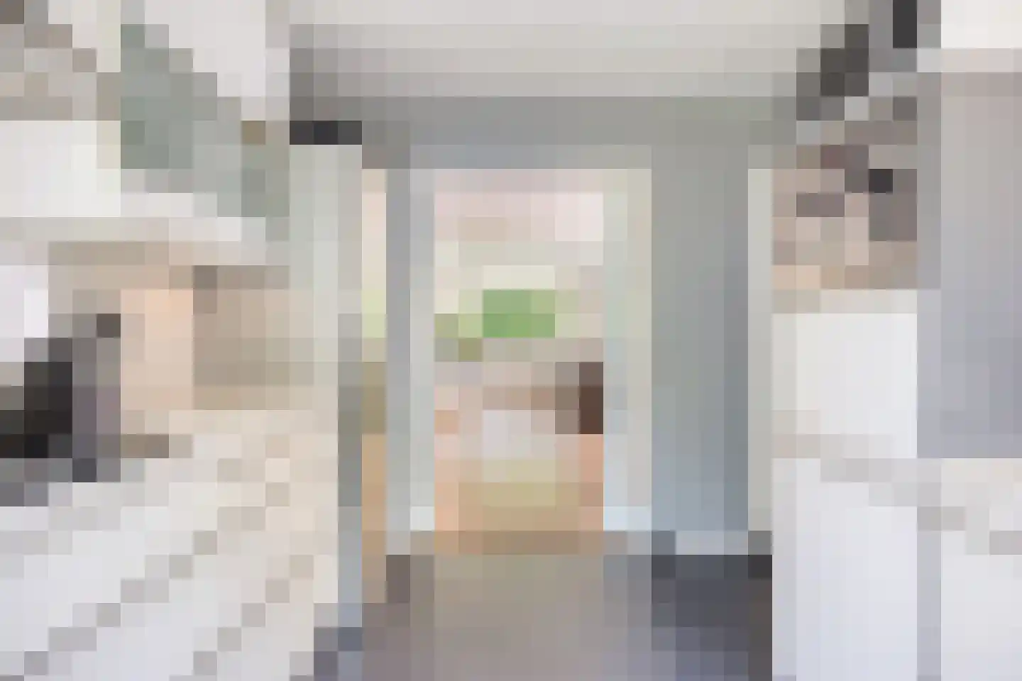 Rooseveltlaan 2 Delft thumbnail 15