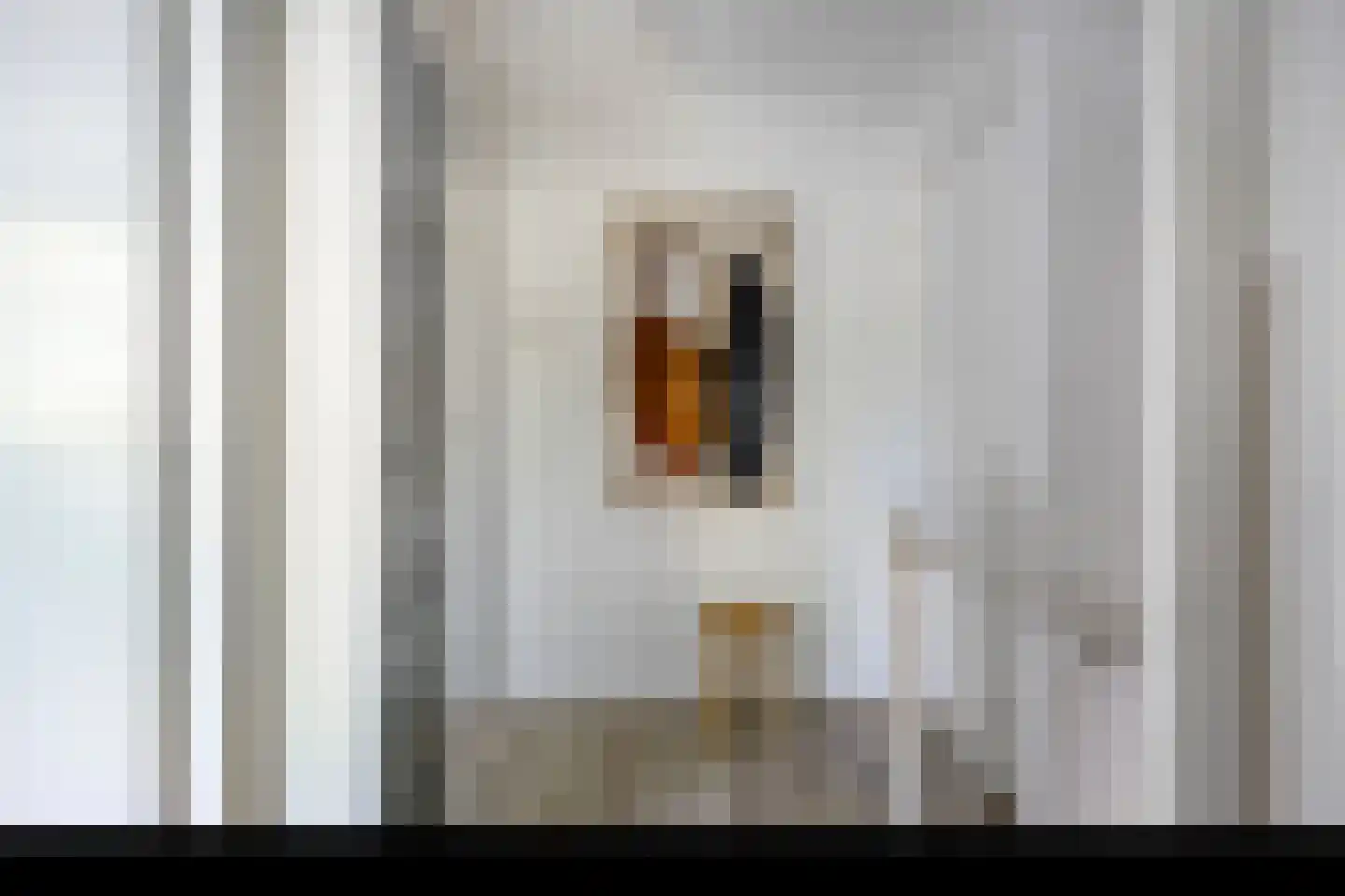 Rooseveltlaan 2 Delft thumbnail 18