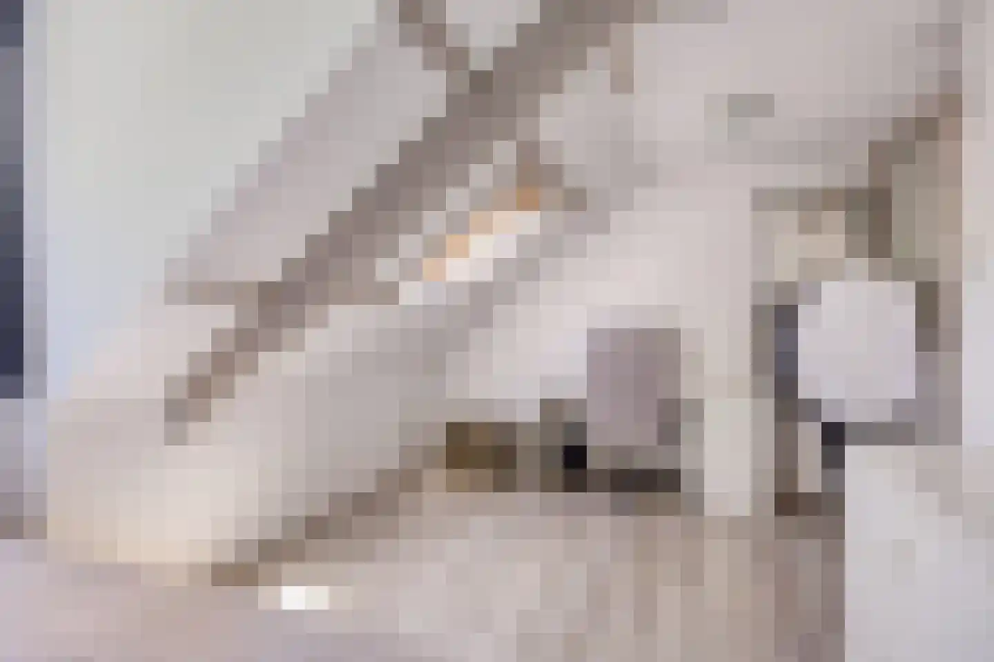 Rooseveltlaan 2 Delft thumbnail 30
