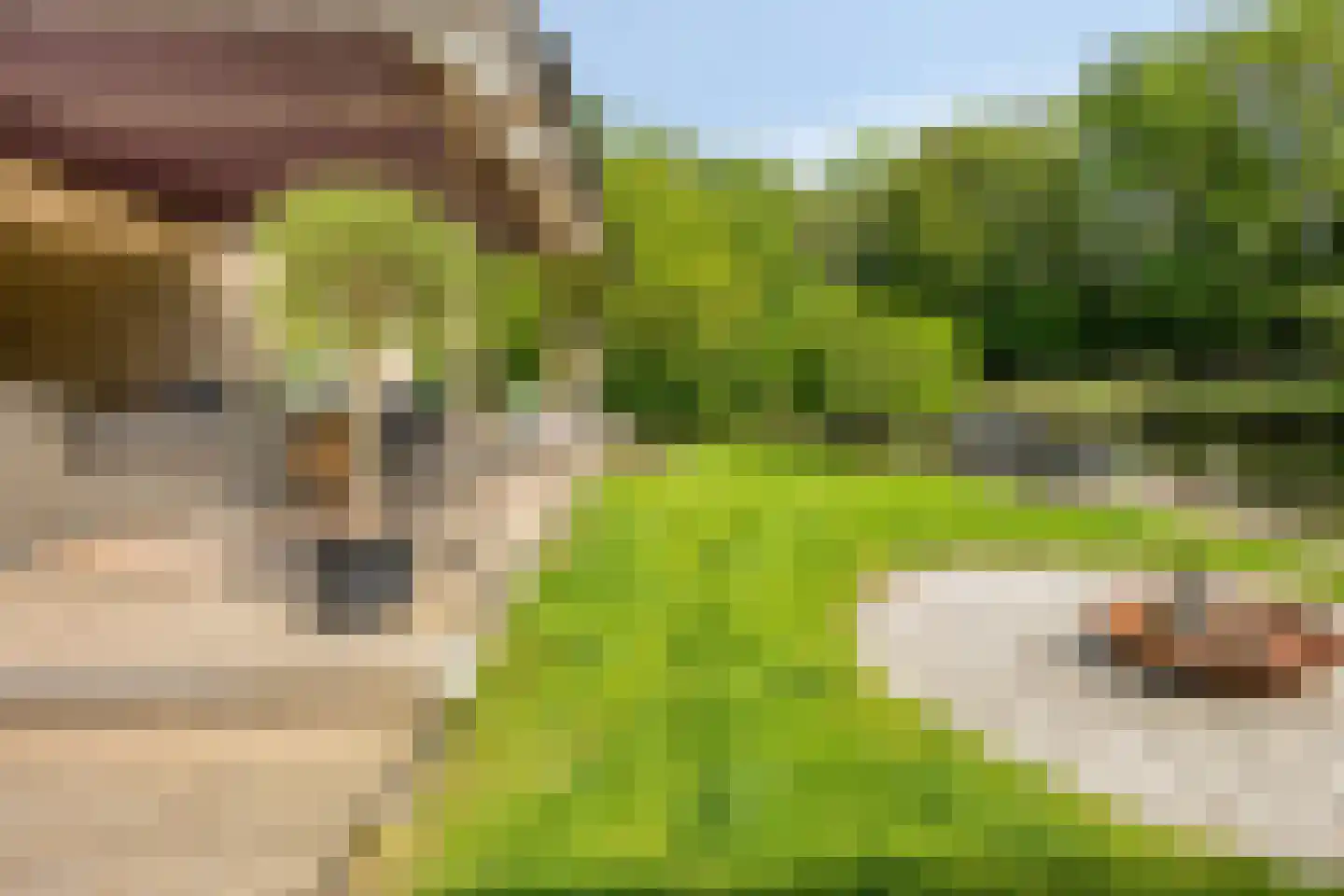 Rooseveltlaan 2 Delft thumbnail 38
