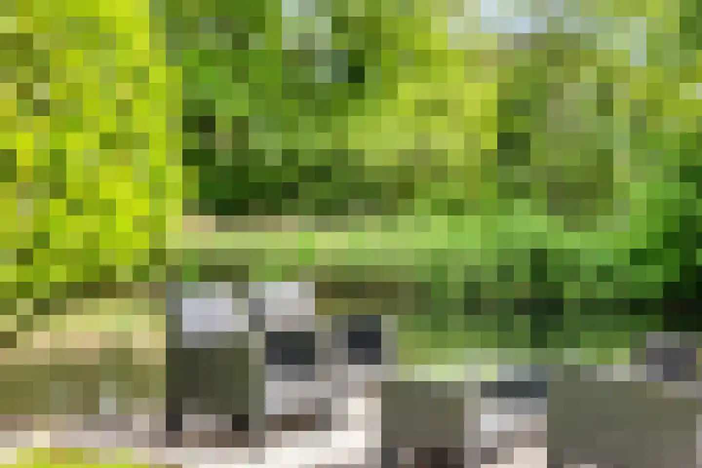 Rooseveltlaan 2 Delft thumbnail 43