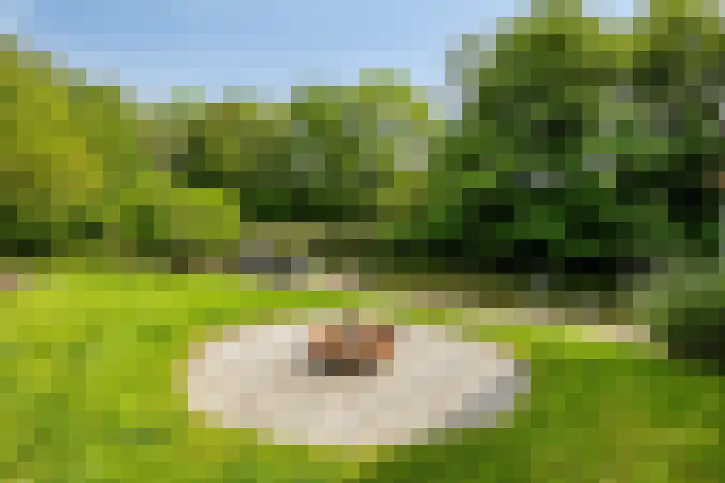 Rooseveltlaan 2 Delft thumbnail 44