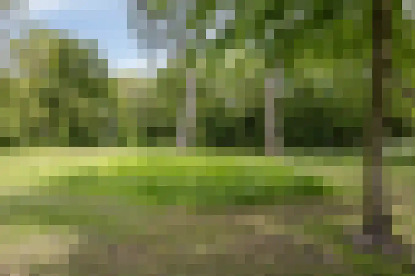 Rooseveltlaan 2 Delft thumbnail 50