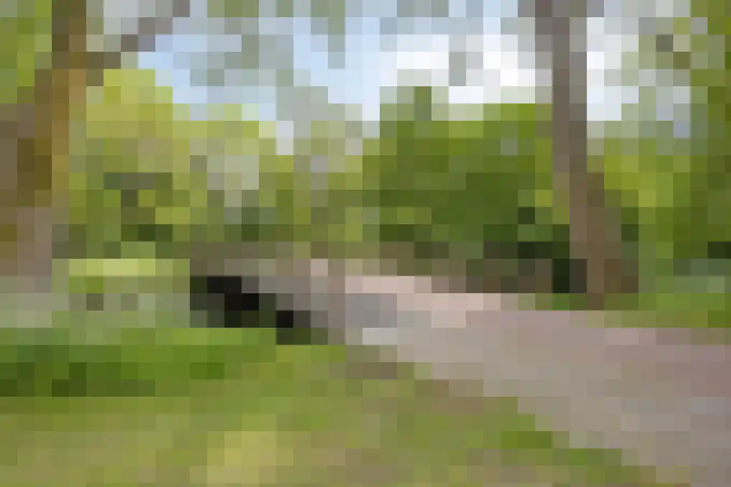 Rooseveltlaan 2 Delft thumbnail 51