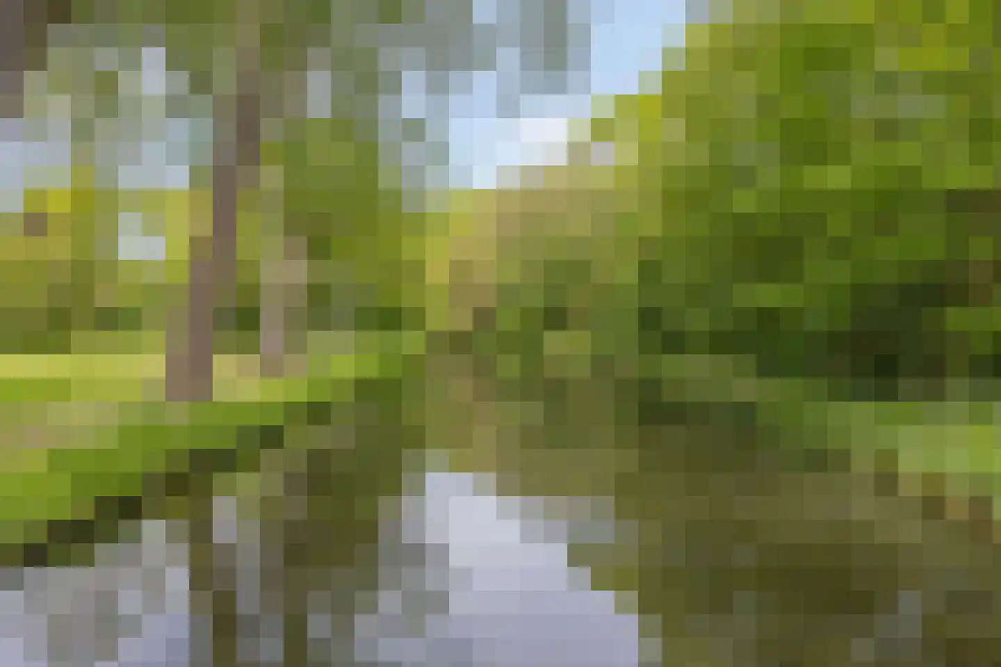 Rooseveltlaan 2 Delft thumbnail 52