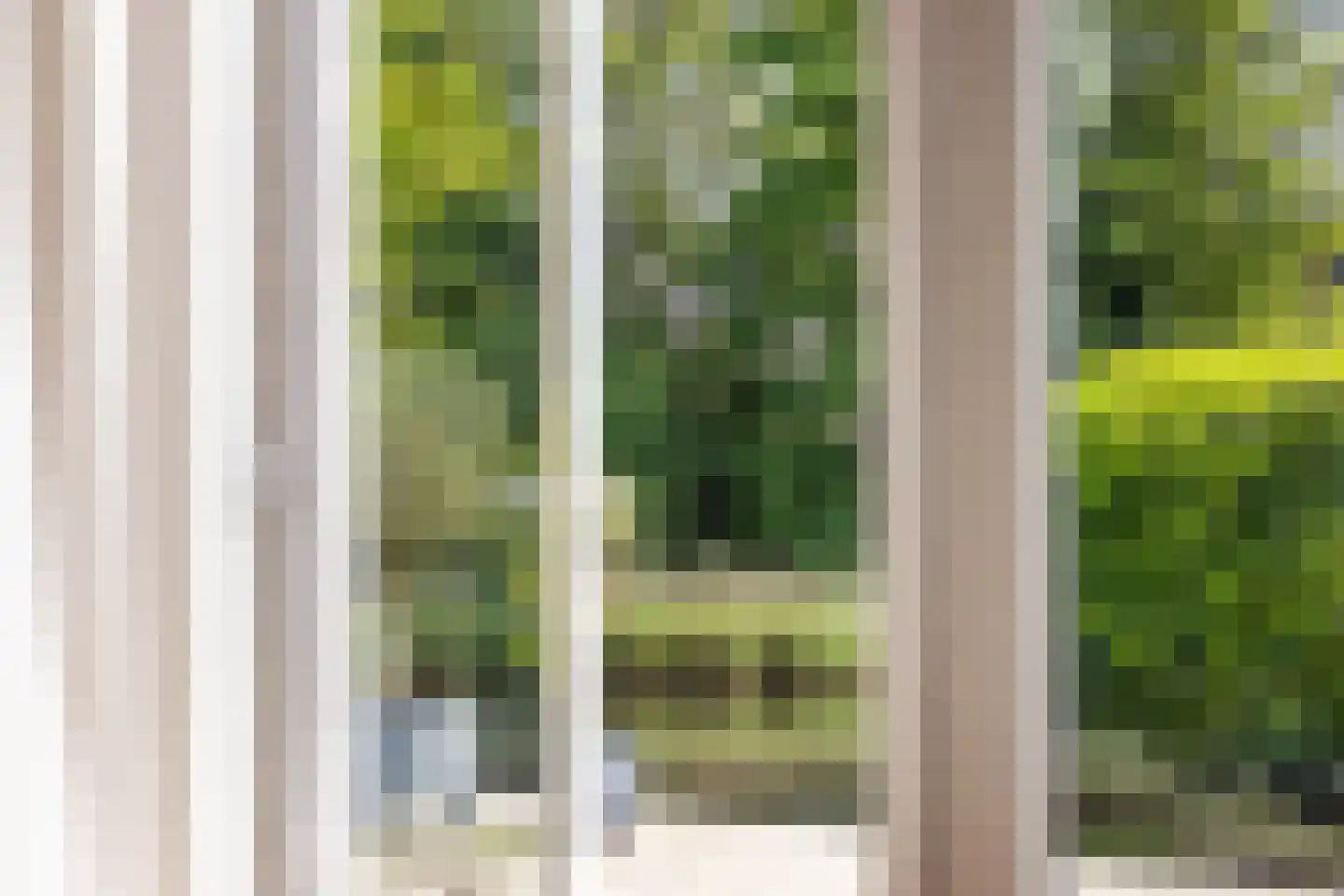 Rooseveltlaan 2 Delft thumbnail 9
